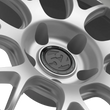 Load image into Gallery viewer, fifteen52 Apex RSR 18x9.5 5x120 22mm ET 72.56mm Center Bore Radiant Silver - Main Product View