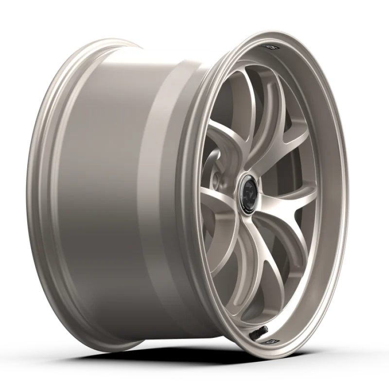 fifteen52 Sector RSR 19x11 5x130 56mm ET 71.6mm Center Bore Frosted Graphite - Back View
