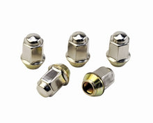 Load image into Gallery viewer, Ford Racing Ford Racing Lug Nuts FRPM-1012-A