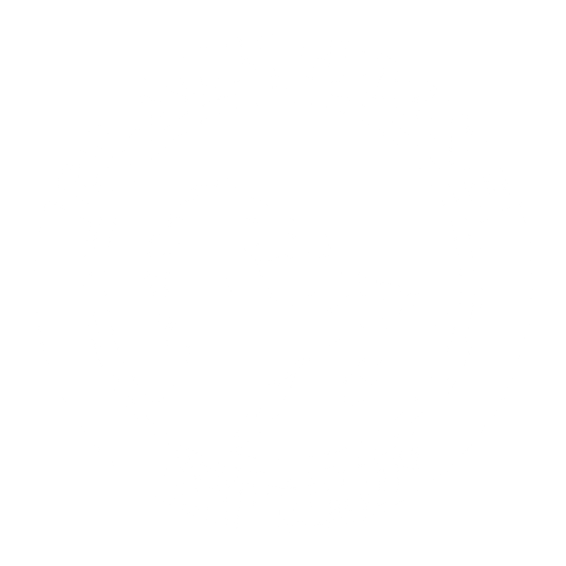 neew black horse logo white.png