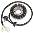 Load image into Gallery viewer, Electrosport Industries Stator ESG218 fits Hyosung