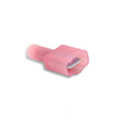 Load image into Gallery viewer, NOS/Nitrous Oxide System 2-Stage WOT/RPM Activated Window Switch 15982NOS