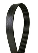 Load image into Gallery viewer, Continental Drive Belt 6K X 1825 4060718 fits 2017-2024 Porsche 718 Boxster / 718 Cayman