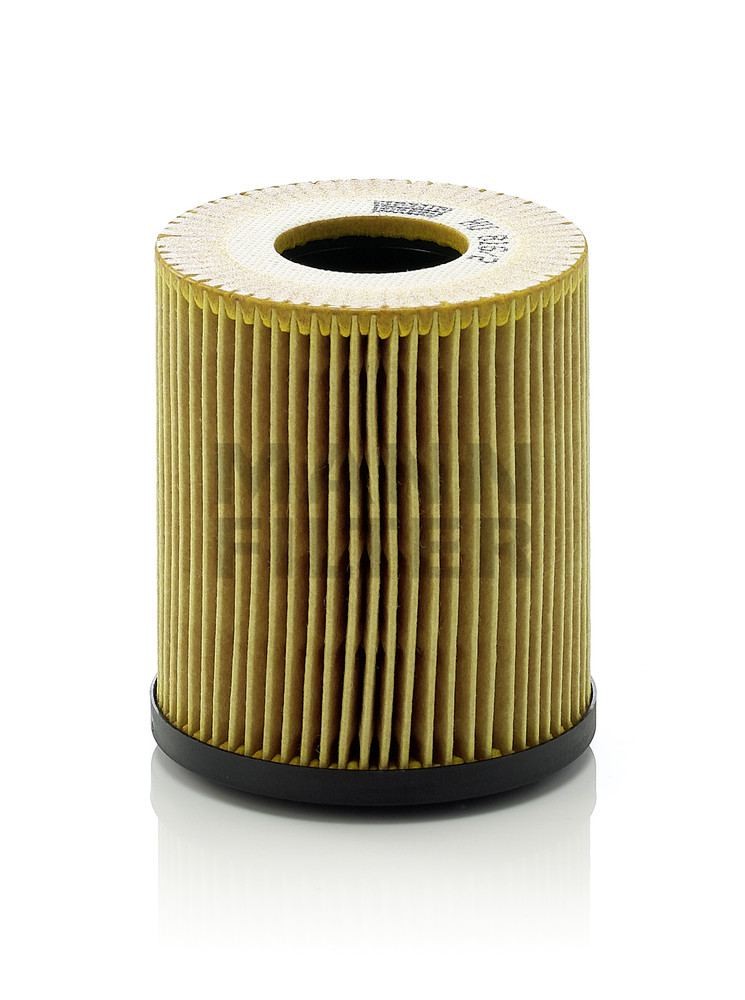 Mann-Filter Oil Filter Kit HU 816/2 X fits 2002-2008 Mini Cooper