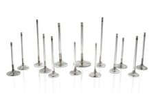 Load image into Gallery viewer, Ferrea Ferrea 5/16 / 8mm .500in ID Viton Hi-Temp Exhaust/Intake Valve Stem Seal - Set of 16 FERVS1021