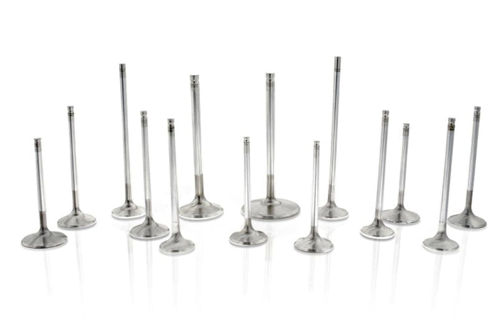 Ferrea Ferrea 5/16 / 8mm .500in ID Viton Hi-Temp Exhaust/Intake Valve Stem Seal - Set of 16 FERVS1021