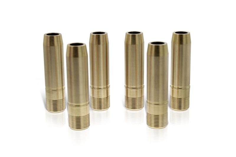 Ferrea Ferrea Nissan GT-R VR38DETT Std Intake Valve Guide - Set of 12 (Use w/VS1014) FERVG1085