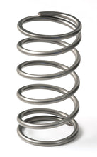 Load image into Gallery viewer, Go Fast Bits GFB EX50 13psi Wastegate Spring (Outer) GFB7113